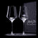 StandArt Universal Wine Glass | Handmade & Machine-Blown